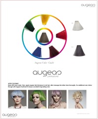 augeas 68 color hair color chart
