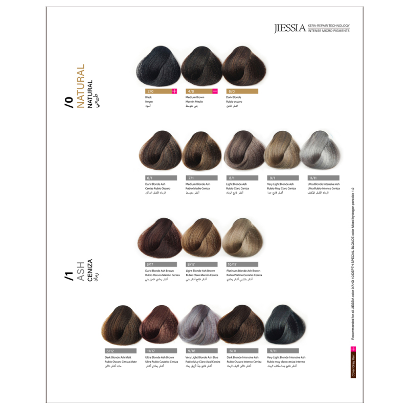 Jiessia 67 color hair color chart