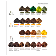 Jiessia 67 color hair color chart