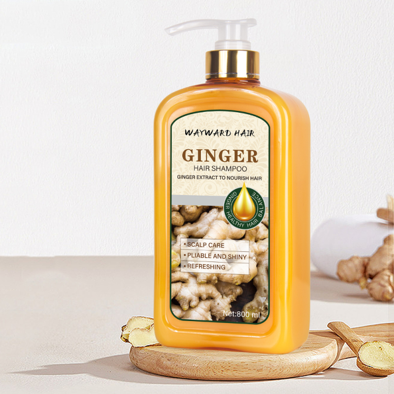 Wholesale price WAYWARD HAIR 800ml ginger hair shampoo