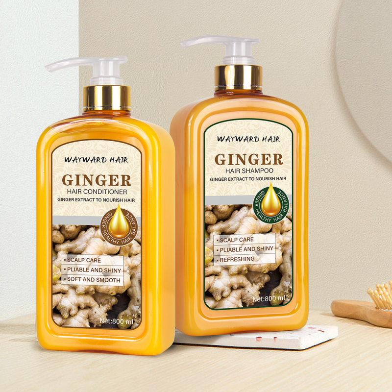 Wholesale price WAYWARD HAIR 800ml ginger hair conditioner