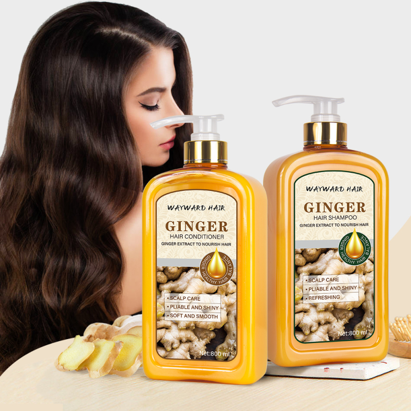 Wholesale price WAYWARD HAIR 800ml ginger hair conditioner
