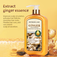Wholesale price WAYWARD HAIR 800ml ginger hair shampoo