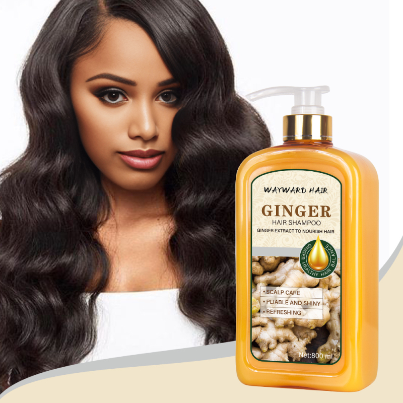Wholesale price WAYWARD HAIR 800ml ginger hair shampoo