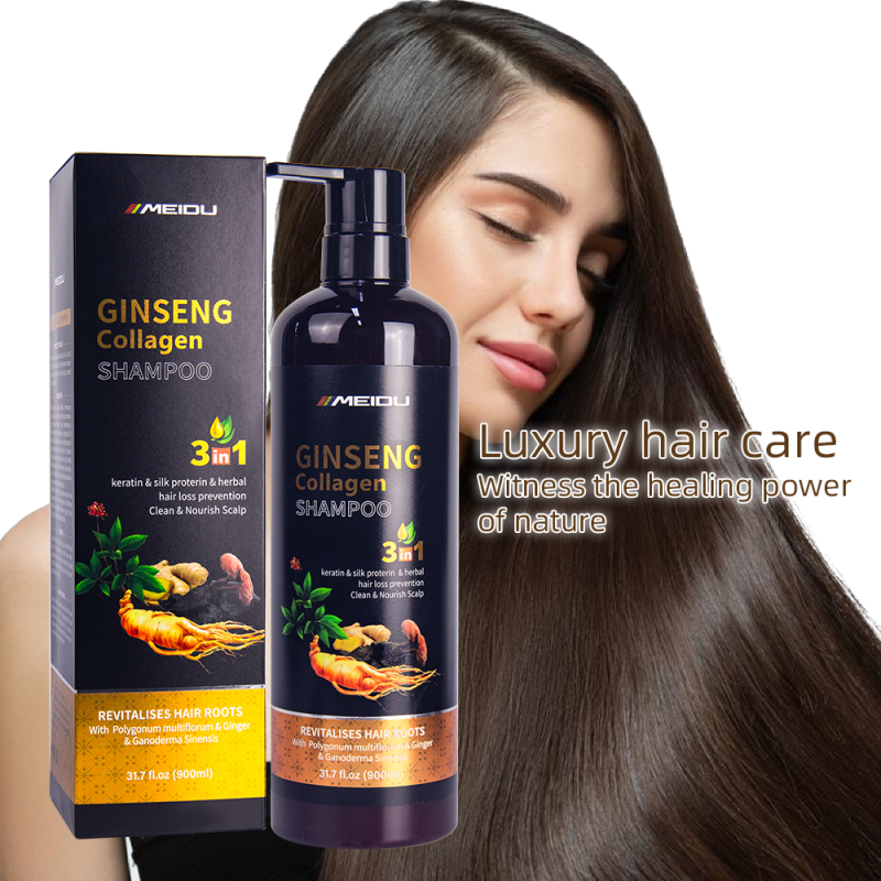 Wholesale meidu collagen herbal ginger natural anti dandruff control oil hair shampoo