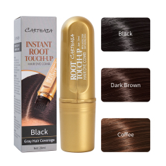 New Arrival Custom Logo Black Portable Instant Waterproof Volumizing Hair Color Dye Grey Hair Coverage Easy Apply Hair Dye Comb