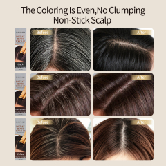New Arrival Custom Logo Black Portable Instant Waterproof Volumizing Hair Color Dye Grey Hair Coverage Easy Apply Hair Dye Comb