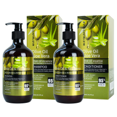 New Products Moisturizing Repair Damaged Hair Anti-Dandruff Anti-Frizz Refreshing Smoothing Hair Care Set 500ml Olive Oil Aloe Vera Shampoo