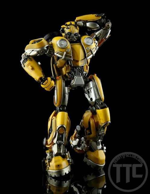 【SOLD OUT】 Transcraft TC-02 Bumblebee Beetle