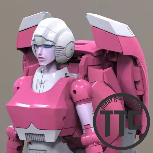 Rose & Toys RT-01 Robot Rose Arcee MP-51