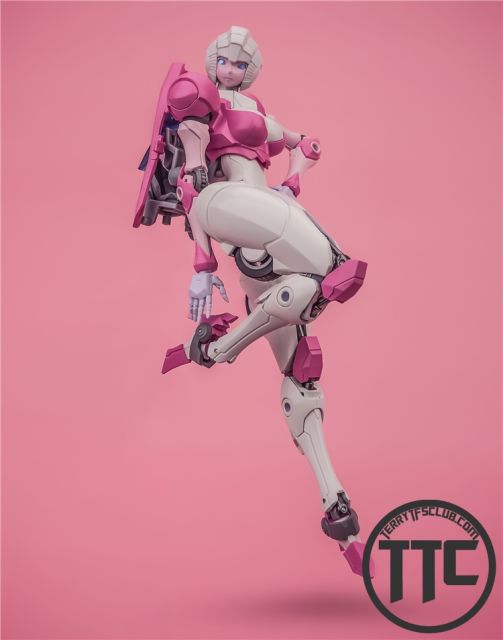 【IN STOCK】No Brand CDL-01 RC Arcee Nicee