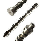 Camshaft Fits Mitsubishi Fuso Canter FE639 FE449 FE439 FE649 4D34 3.9L