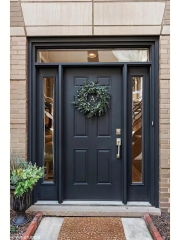 Single panel with both sidelights wrought iron front entry door