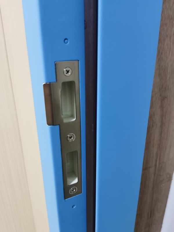 Customized GMP Pharmaceutical Clean Room Metal Door