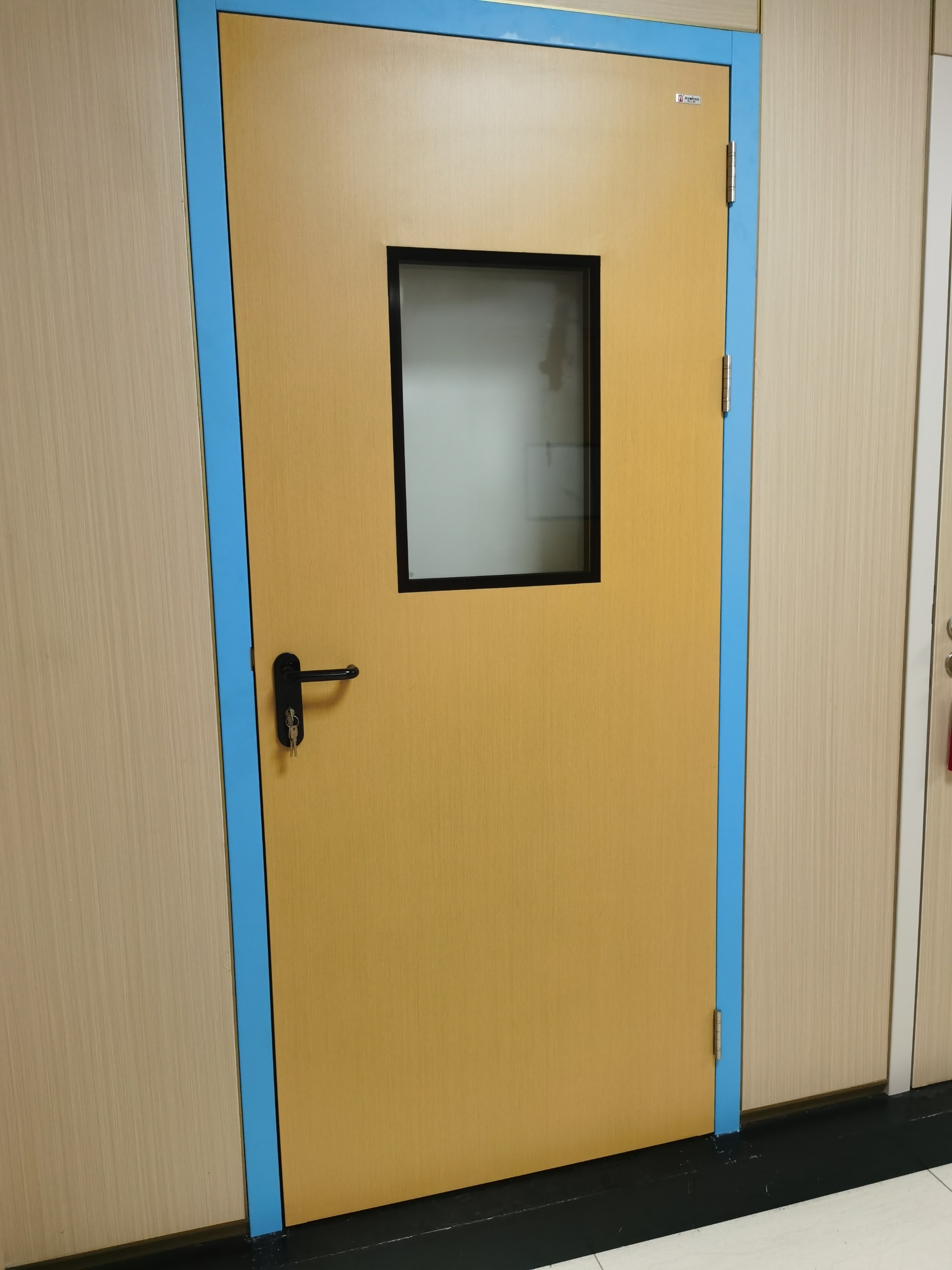 Customized GMP Pharmaceutical Clean Room Metal Door