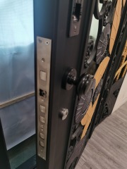 Single iron door with sidelights wrought iron front entry door with Arc top