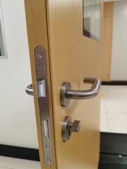 Customized GMP Pharmaceutical Clean Room Metal Door