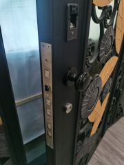 Single iron door with sidelights wrought iron front entry door with Arc top