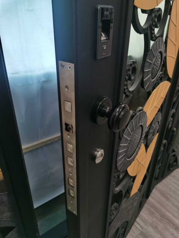 Single iron door with sidelights wrought iron front entry door with Arc top