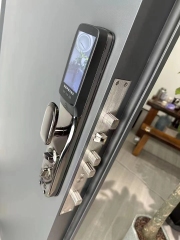 Modern Luxury Front door House Exterior Steel Front Entry Doors With golden insert plate and Smart Lock