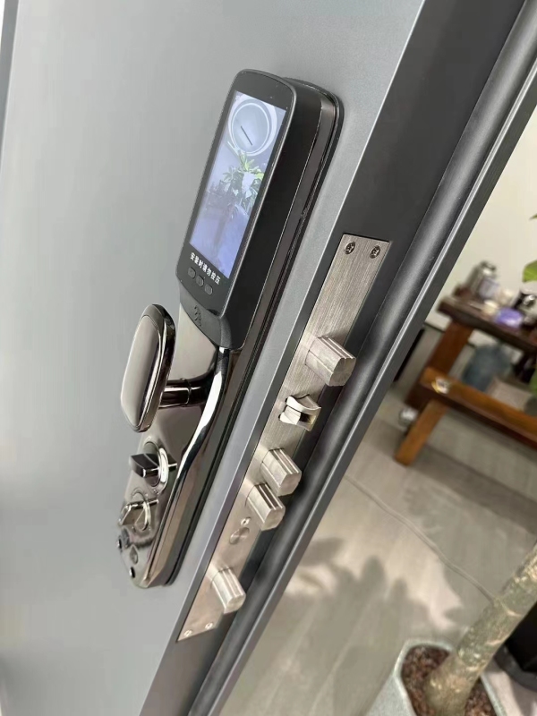 Modern Luxury Front door House Exterior Steel Front Entry Doors With golden insert plate and Smart Lock