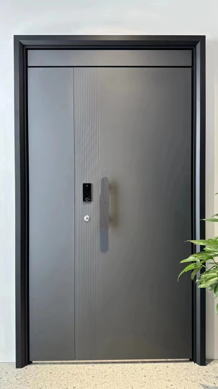 Modern Luxury Front door House Exterior Steel Front Entry Doors With golden insert plate and Smart Lock