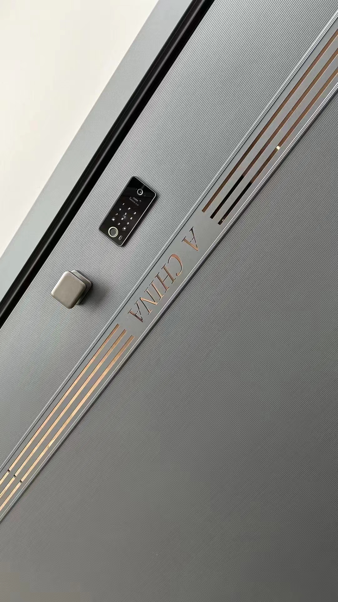 Modern Luxury Front door House Exterior Steel Front Entry Doors With golden insert plate and Smart Lock