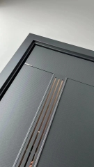 Modern Luxury Front door House Exterior Steel Front Entry Doors With golden insert plate and Smart Lock