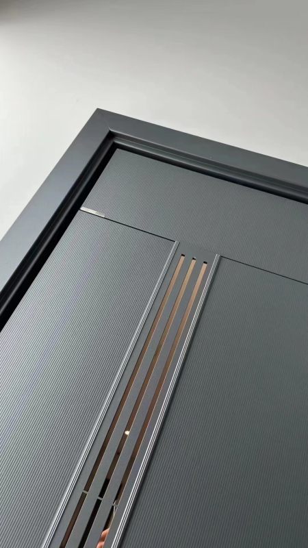 Modern Luxury Front door House Exterior Steel Front Entry Doors With golden insert plate and Smart Lock