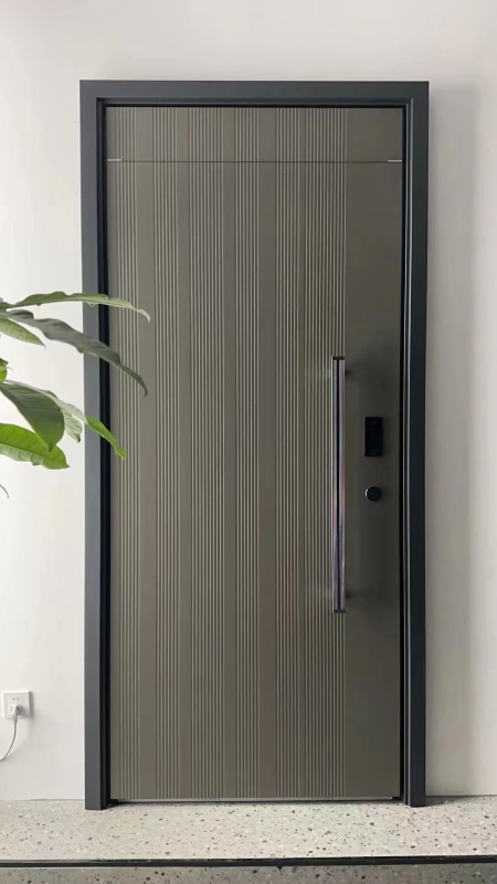 Modern Luxury Front door House Exterior Steel Front Entry Doors With golden insert plate and Smart Lock