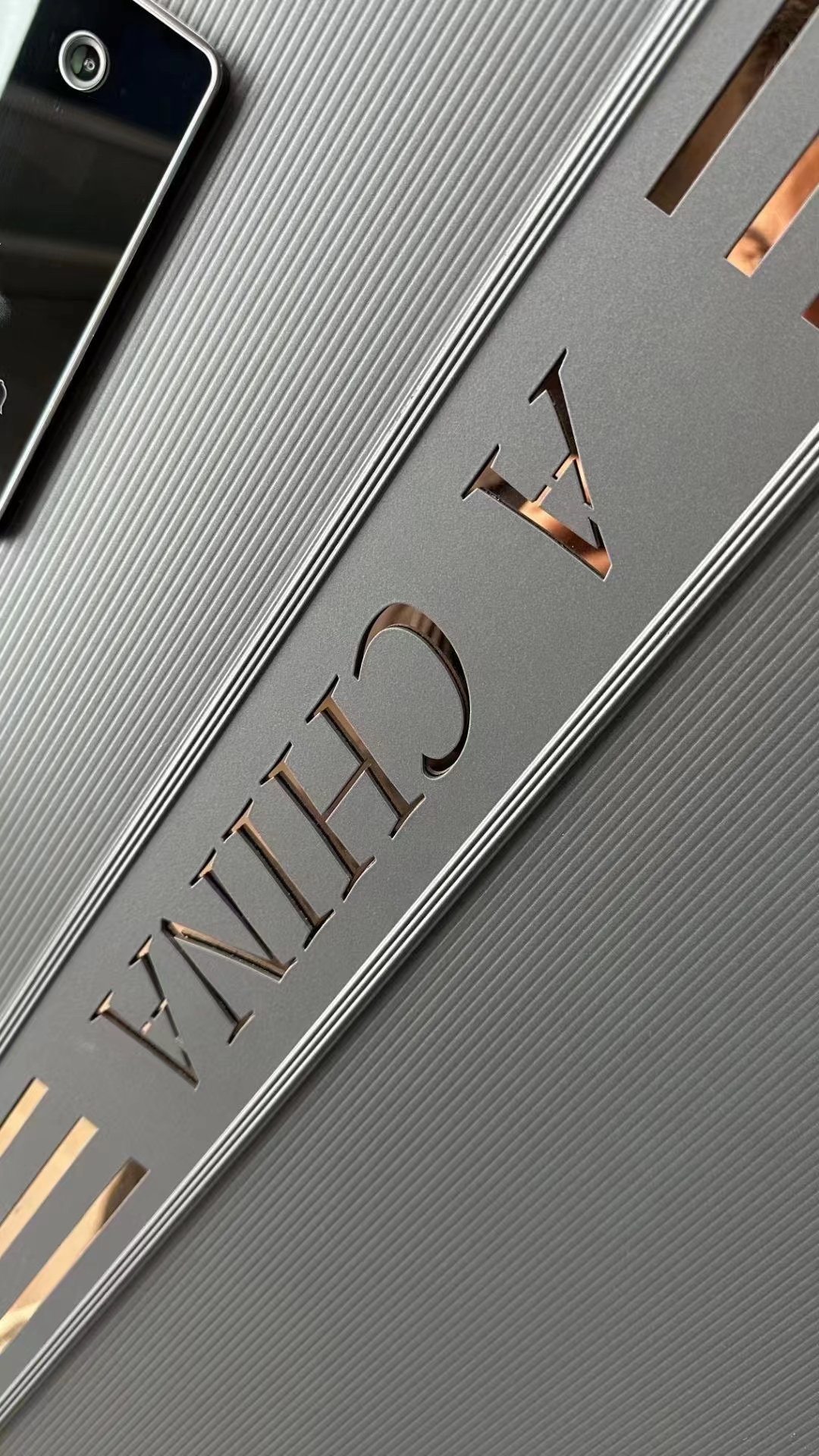 Modern Luxury Front door House Exterior Steel Front Entry Doors With golden insert plate and Smart Lock