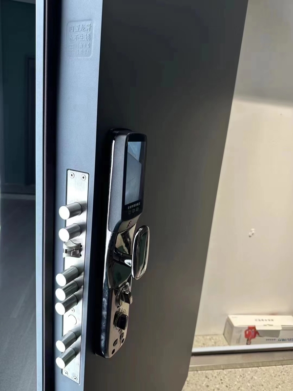 Hot Sale Custom Exterior Main Security Door Design Safety Metal Steel Front Entry Door