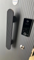 Hot Sale Custom Exterior Main Security Door Design Safety Metal Steel Front Entry Door