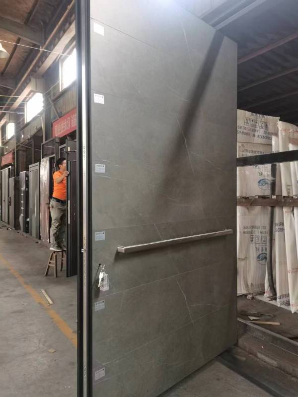 luxury Pivot door