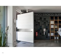luxury Pivot door