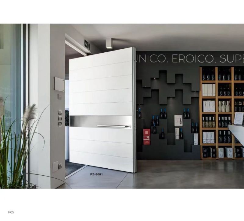 luxury Pivot door