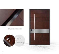 luxury Pivot door