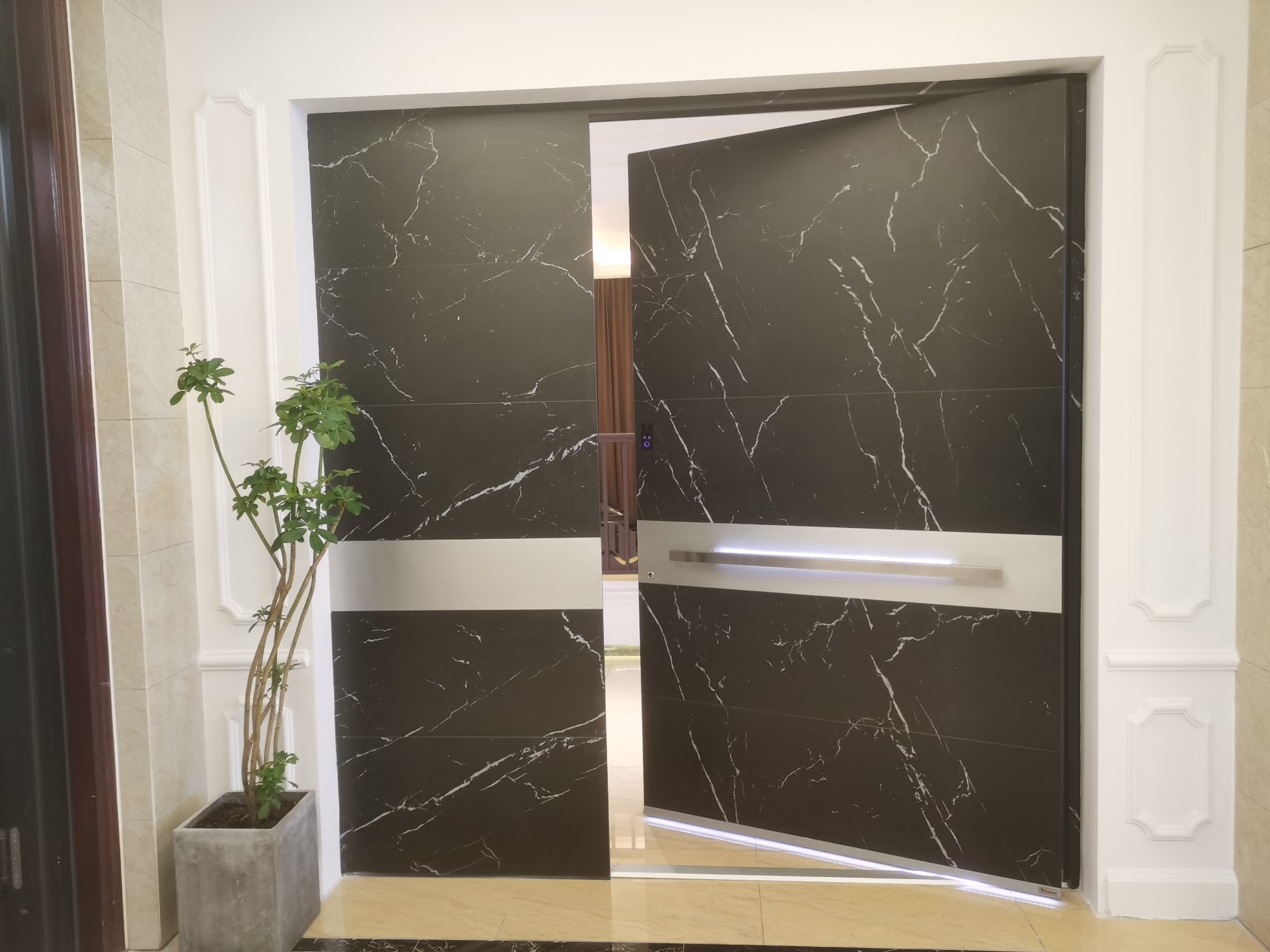 luxury Pivot door