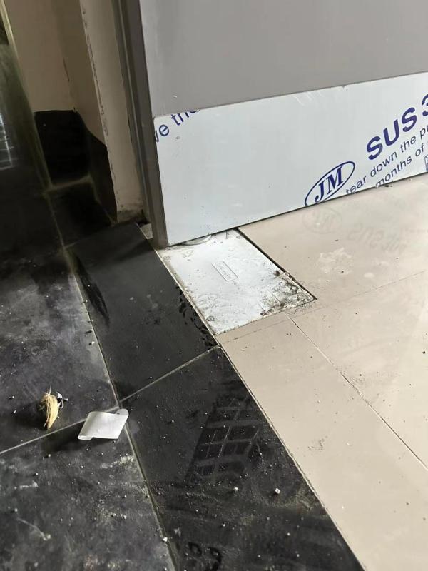 Swing both inward&outward steel door with floor hinge