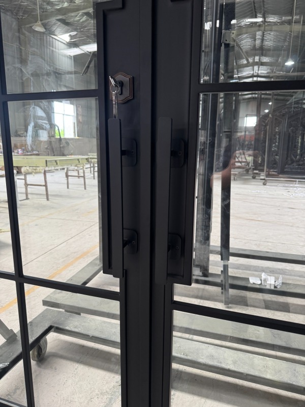 Double iron front glass door with transom