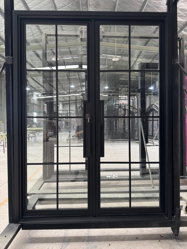 Double iron front glass door with transom