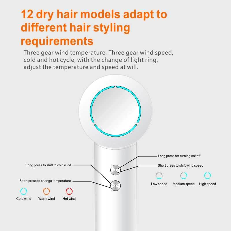 Negative Ionic High-Speed Hair Dryer with Smart Temperature Control