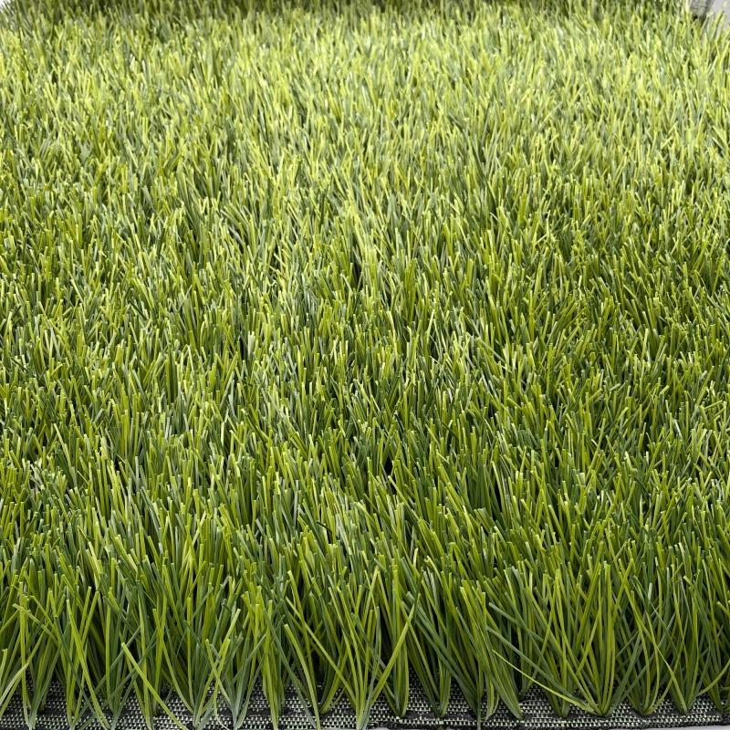 UNI - Artificial Grass Football​(Competition)