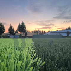 UNI - Artificial Turf Football Field for School