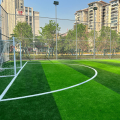 UNI - Artificial Turf Football Field in China
