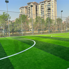 UNI - Artificial Turf Football Field in China