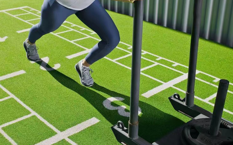 What is the function of gym lawn?