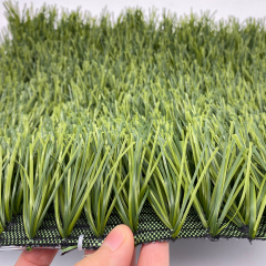 UNI - Artificial Grass Football​(Competition)