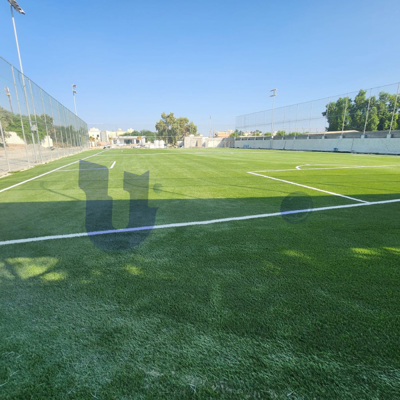 UNI - Artificial Turf Football Field in Bahrain(2000sqm)