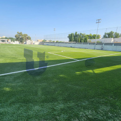 UNI - Artificial Turf Football Field in Bahrain(2000sqm)